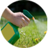 Residential_Pest_Control_Noida